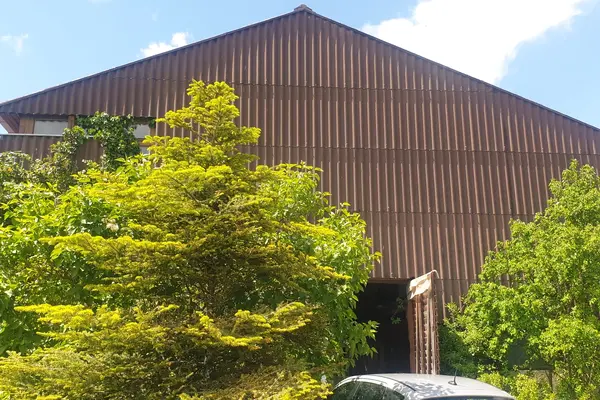 Mediagon Erfahrung von J. H. aus 8468 Waltalingen - Mediagon