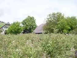 Mediagon Erfahrung von W. H. aus 3507 Biglen - Mediagon