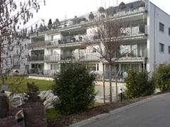 Mediagon schützt ökologisch gegen Kalk.