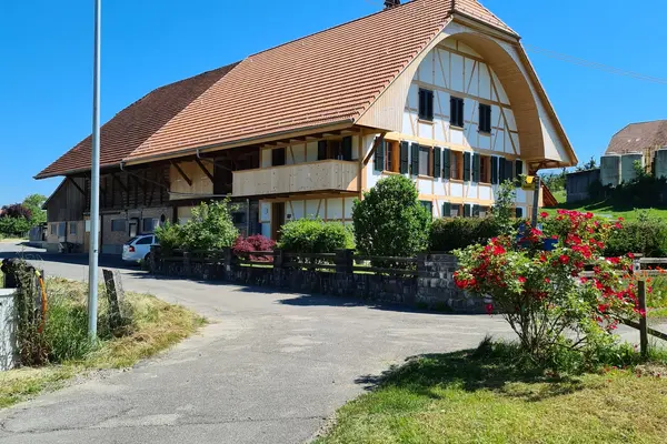 Mediagon Erfahrung von F. W. aus 3627 Heimberg - Mediagon